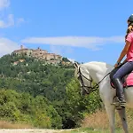Giuditta * Monte Santa Maria Tiberina