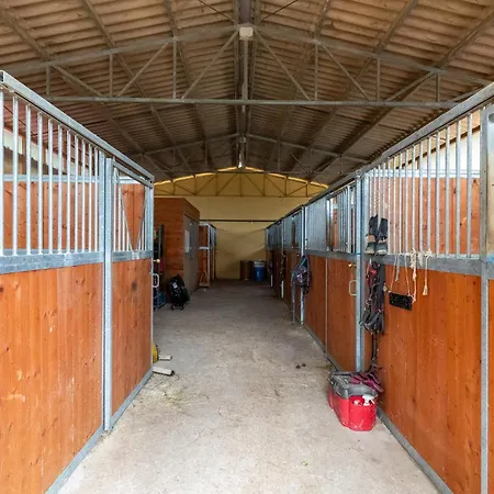 Giuditta Dom wakacyjny Monte Santa Maria Tiberina