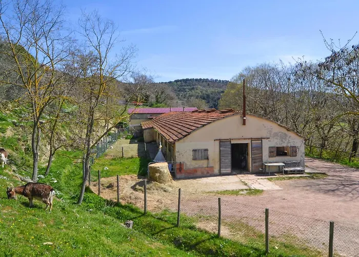 Giuditta * Monte Santa Maria Tiberina